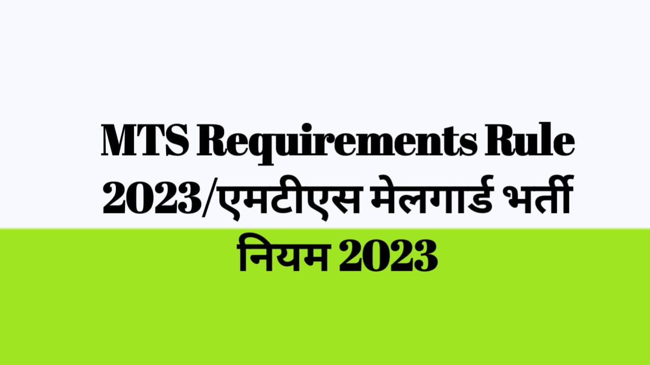 WhatsApp Image 2023-09-03 at 14.52.26